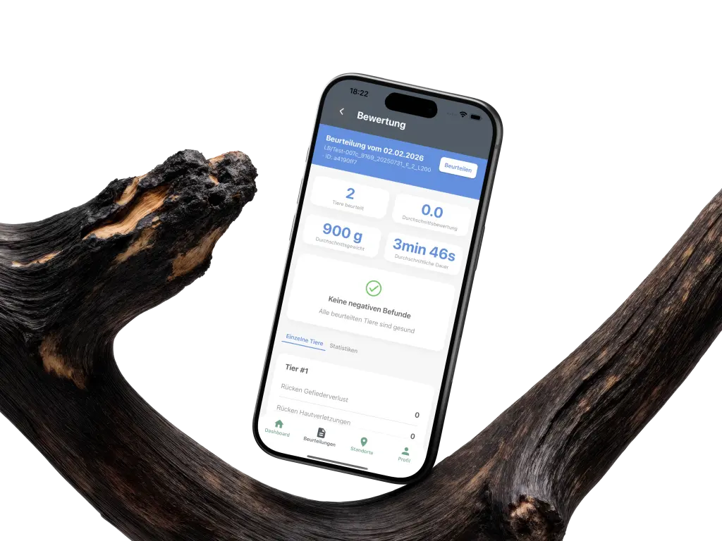 Mobile App Entwicklung, Laravel Backend.