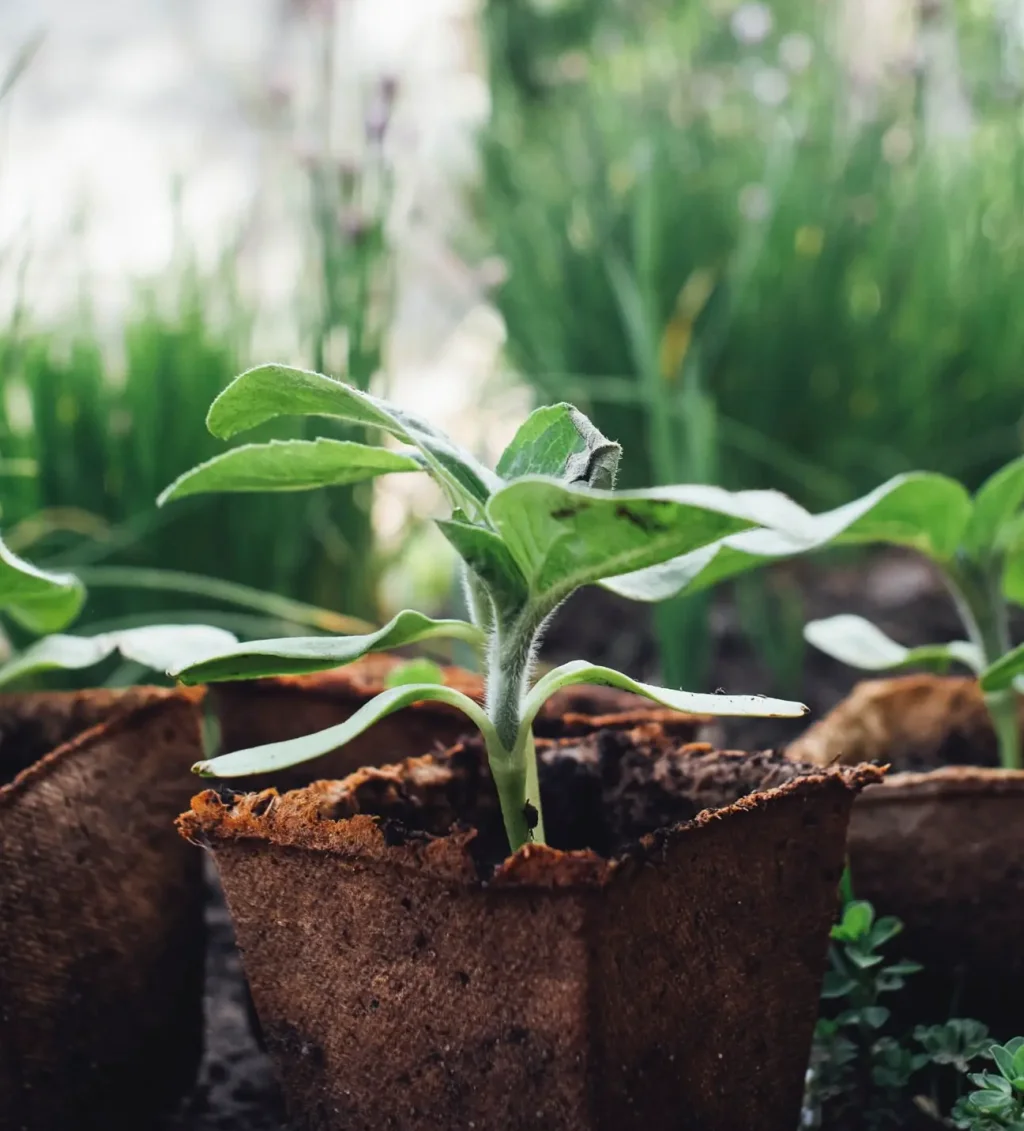 Non Profit Web Entwicklung, mit Laravel und Statamic.