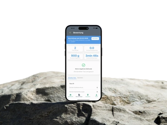 Mobile App, Laravel Backend