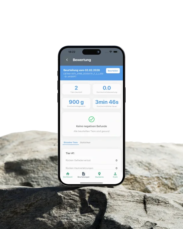 Mobile App, Laravel Backend