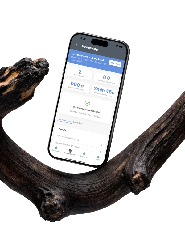 Mobile App Entwicklung, Laravel Backend