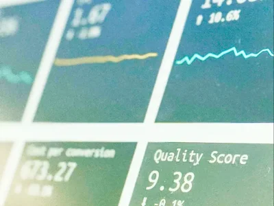 Web Plattform Entwicklung