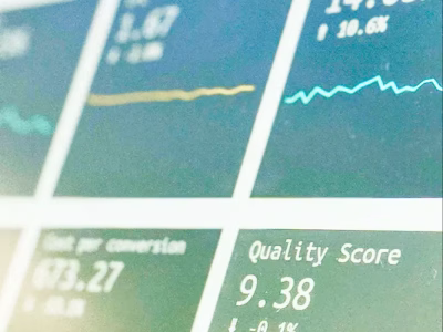 Web Plattform Entwicklung